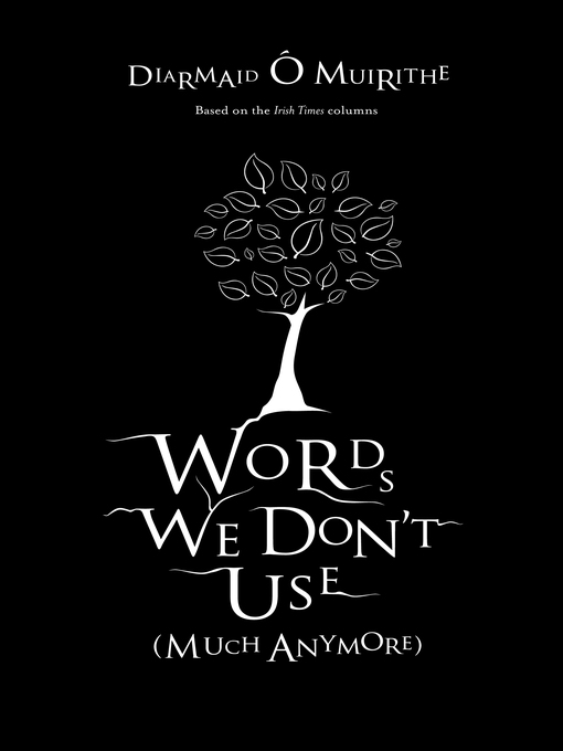 Title details for Words We Don't Use by Diarmaid   Ó Muirithe - Available
